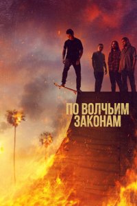 По волчьим законам смотреть онлайн в хорошем качестве